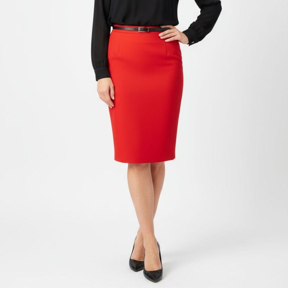 Linda Allard Ellen Tracy 100% Silk Knee Length Skirt 4